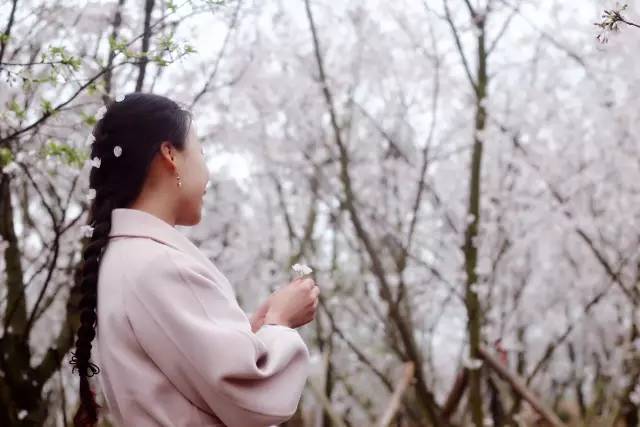 嘻嘻嘻嘻吸血鬼