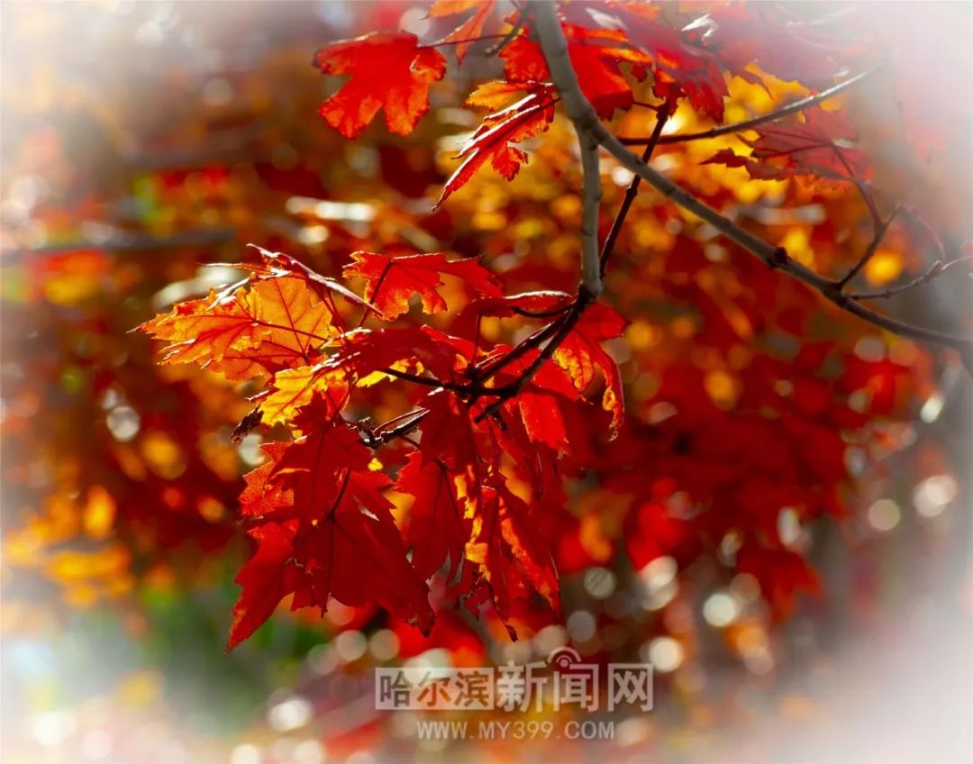 再见金钱，前往贫困村