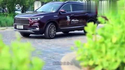 养蜂人 （英语版）