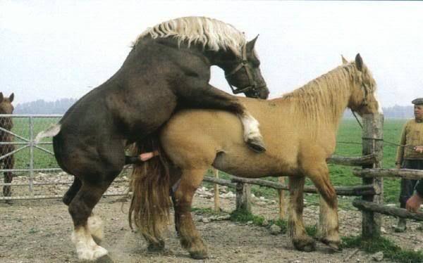 在大雪封闭的山庄里